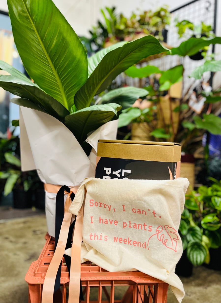 Love Your Plants For Life - Gift Pack – botanic republic